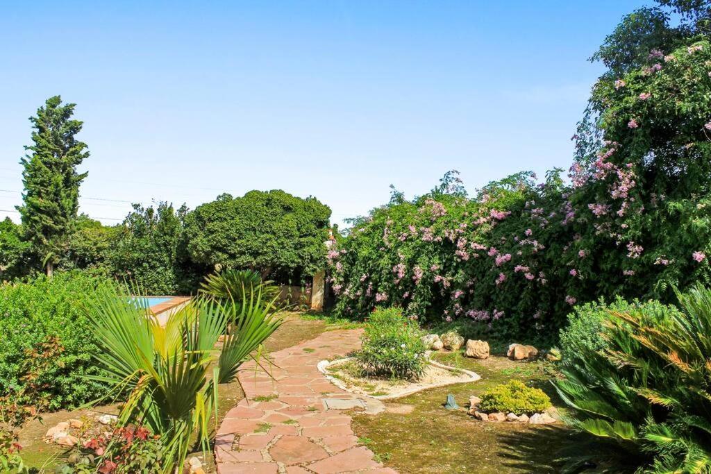 Huerto Valenciano - Sol Y Tranquilidad - Piscina Villa Exterior photo